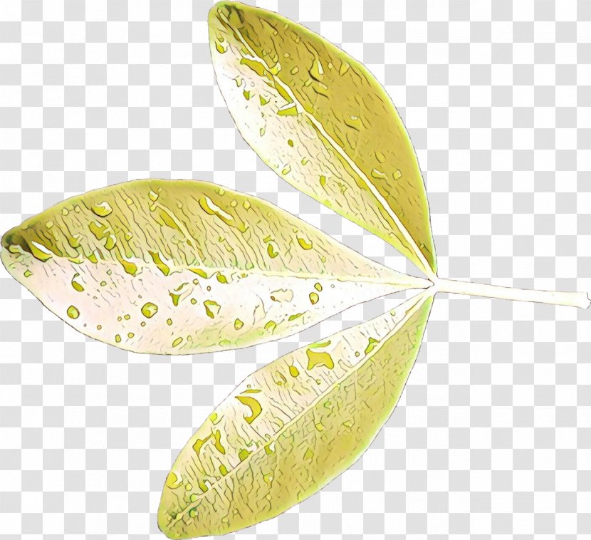 Leaf - Yellow Transparent PNG