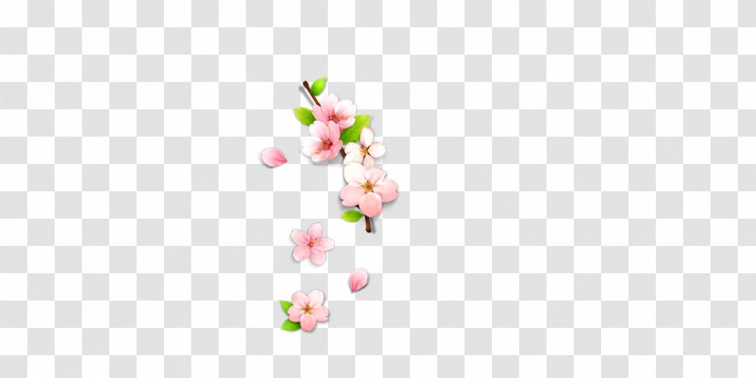 Petal Floral Design Computer Pattern - Plum Flower Transparent PNG