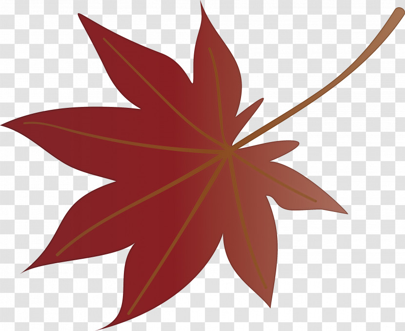 Autumn Leaf Colourful Foliage Colorful Leaves Transparent PNG