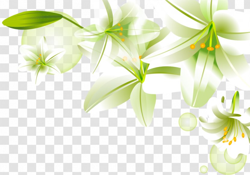 Download - Computer - Hand-painted Lily Transparent PNG