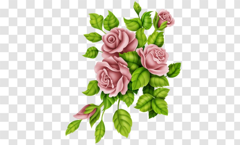 Garden Roses Flower Embroidery Centerblog Image - Plant - Drawing Transparent PNG
