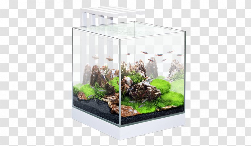 Light-emitting Diode Aquarium LED Lamp Glass - Coldwater Fish - Light Transparent PNG