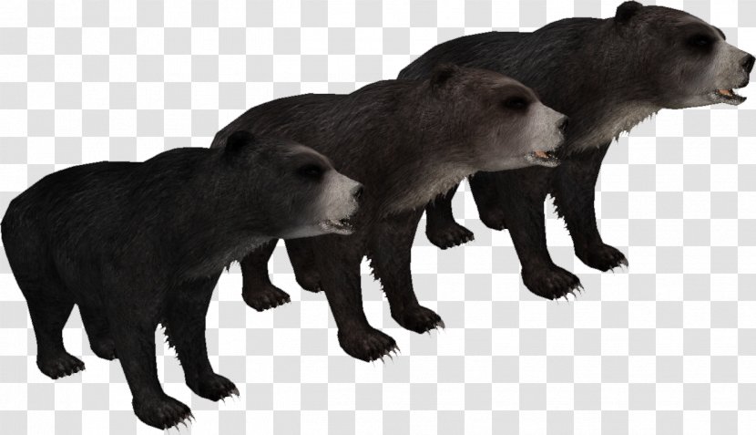 Short-faced Bears Spectacled Bear American Black Tremarctos Floridanus Zoo Tycoon 2 - Peccary - Arctodus Transparent PNG