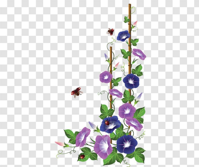 Floral Design Flower Picture Frames Paper - Flora - цветы акварель Transparent PNG