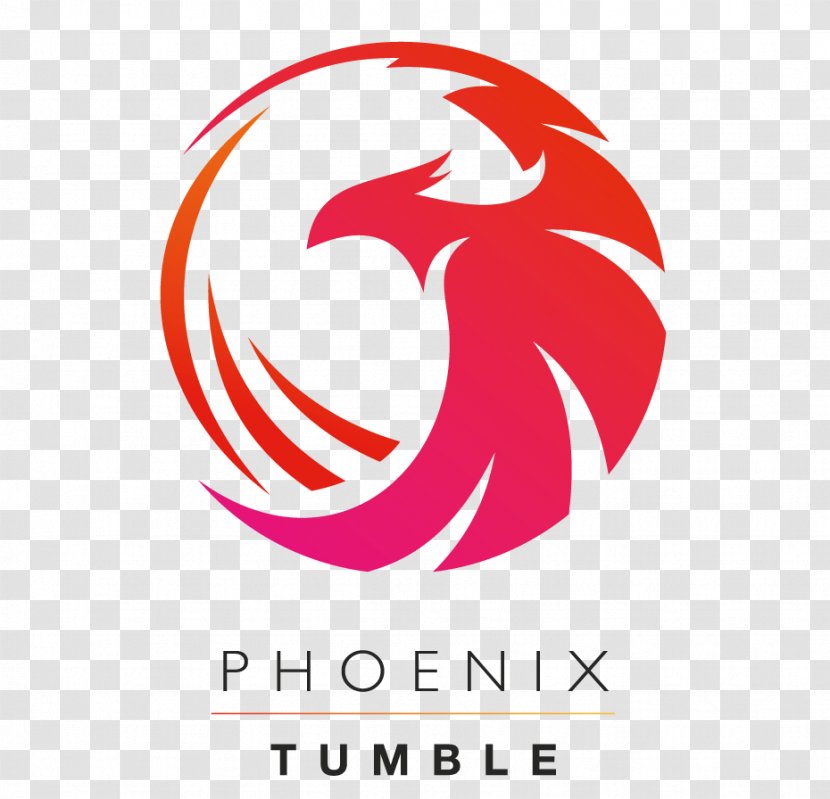 Phoenix Dynamic Sports Entertainment Photograph Vector Graphics Image Logo - Area - Youth Cheerleading Moves Transparent PNG
