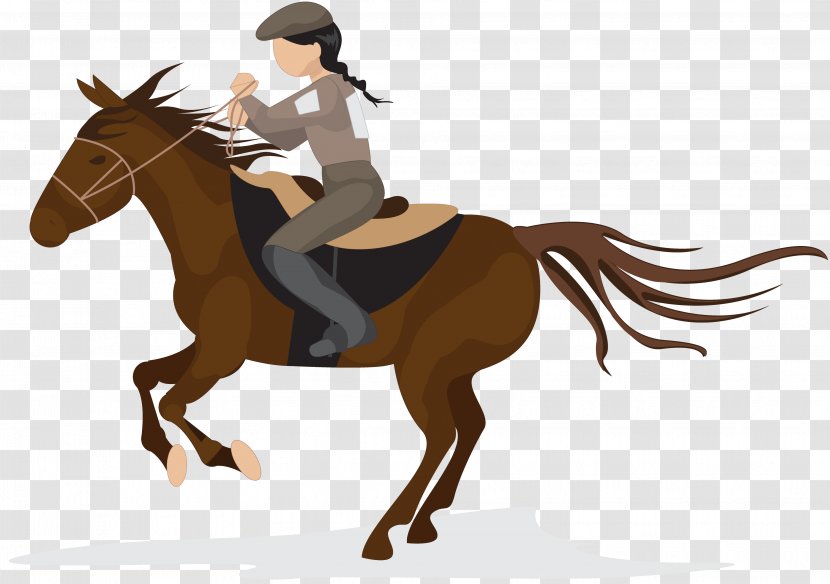 Belvoir Terrace Summer Camp Horse Graphic Design - Western Pleasure Transparent PNG