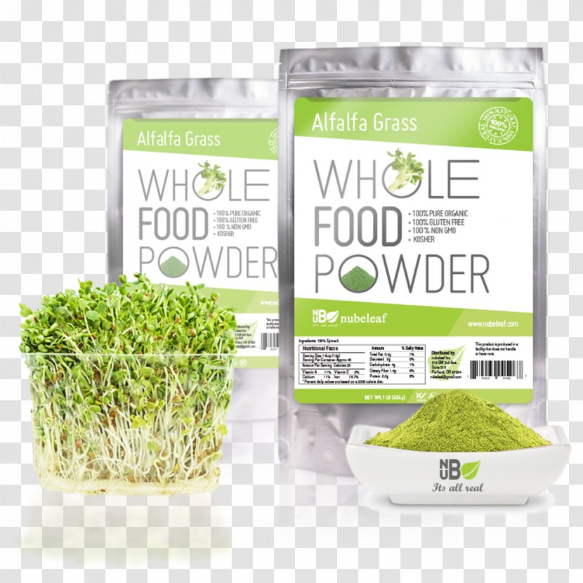 Food Pea Protein Nutrient Vegetable - Herb - Alfalfa Transparent PNG