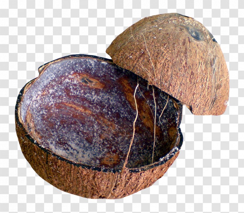 Rye Bread Coconut - Food - Shell Transparent PNG