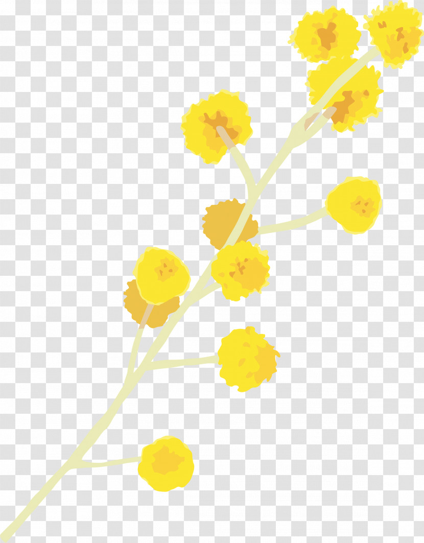 Yellow Flower Plant Pedicel Cut Flowers Transparent PNG