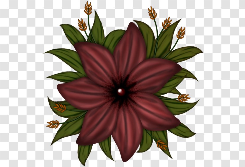 Flower Clip Art Image Floral Design - Plant Transparent PNG