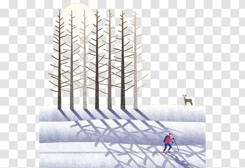 Drawing Art Illustration - Illustrator - Snow Skiing Teenager Transparent PNG