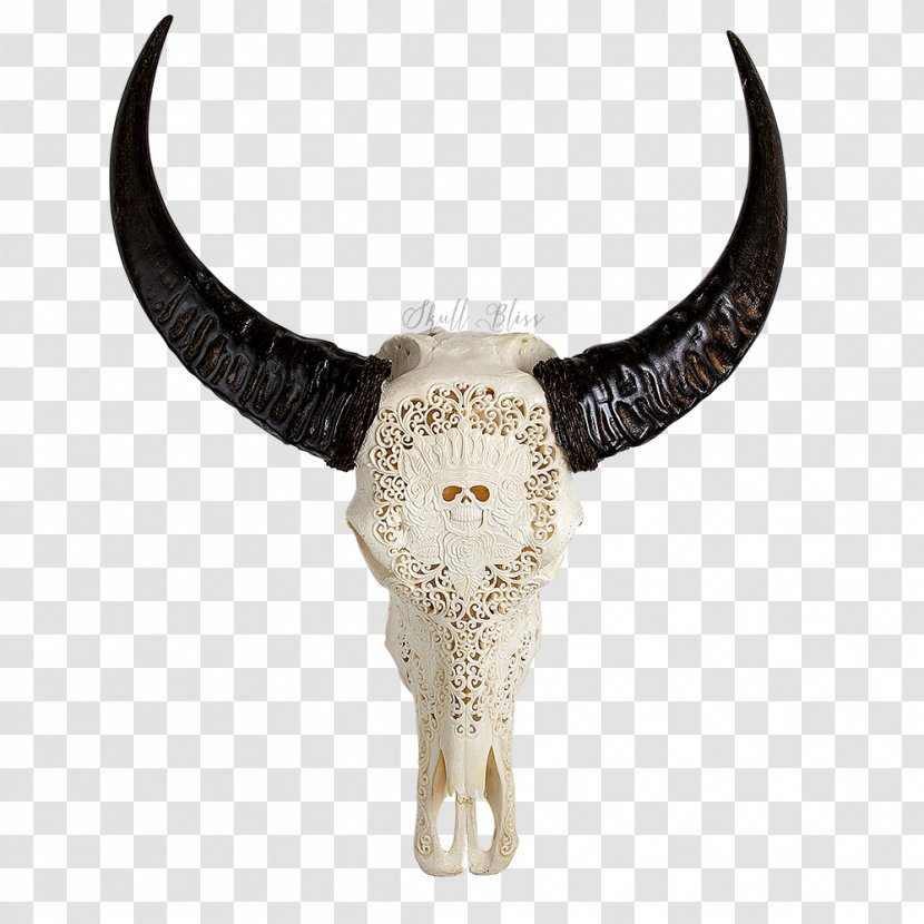 Water Buffalo Horn Bubalina Skull Cattle Transparent PNG
