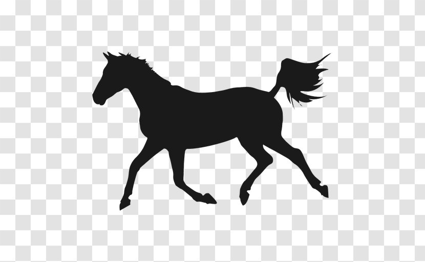 Shagya Arabian Mare Equestrian - Silhouette Transparent PNG