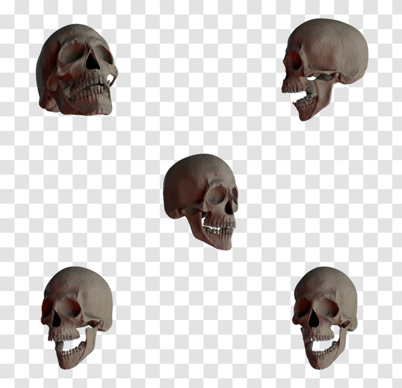 Skull DeviantArt - Skeleton Transparent PNG
