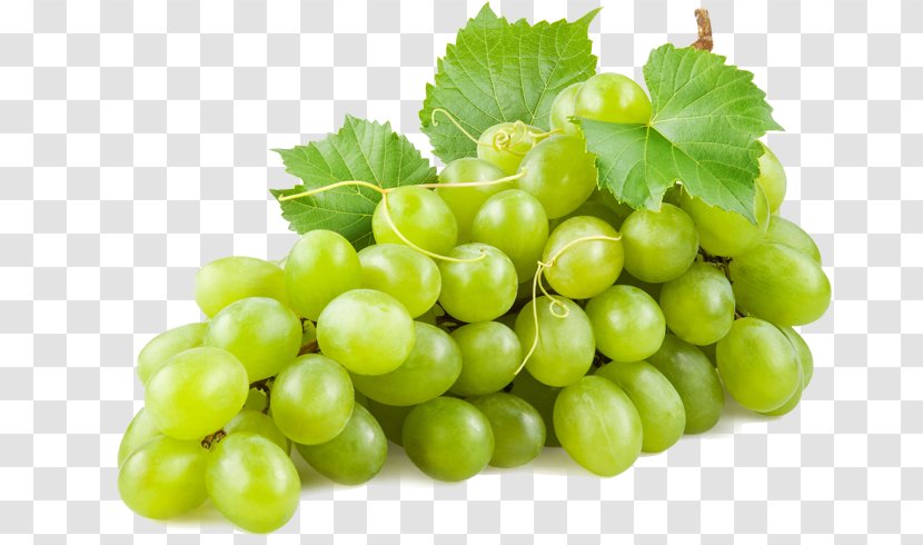 Common Grape Vine Wine Juice Concord - Seedless Fruit Transparent PNG