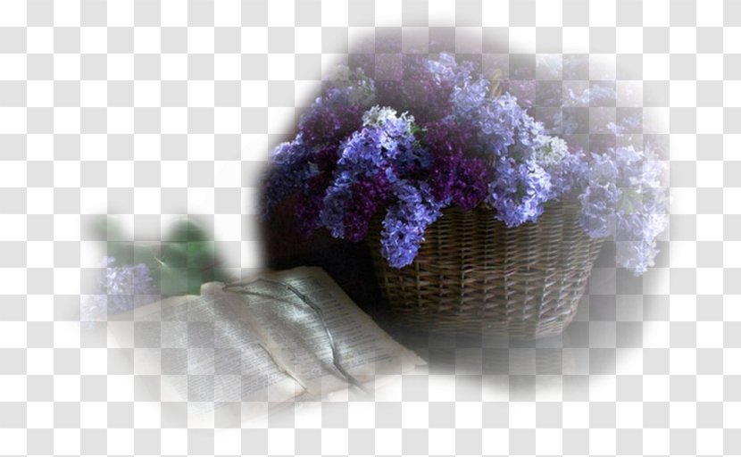 Wool - Violet - Lilac Transparent PNG