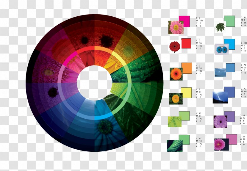 Graphic Design Color Wheel Template - Compact Disc Transparent PNG