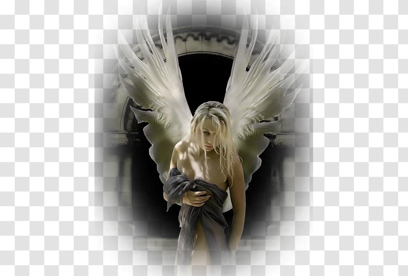 Angel Gfycat Giphy - Watercolor Transparent PNG