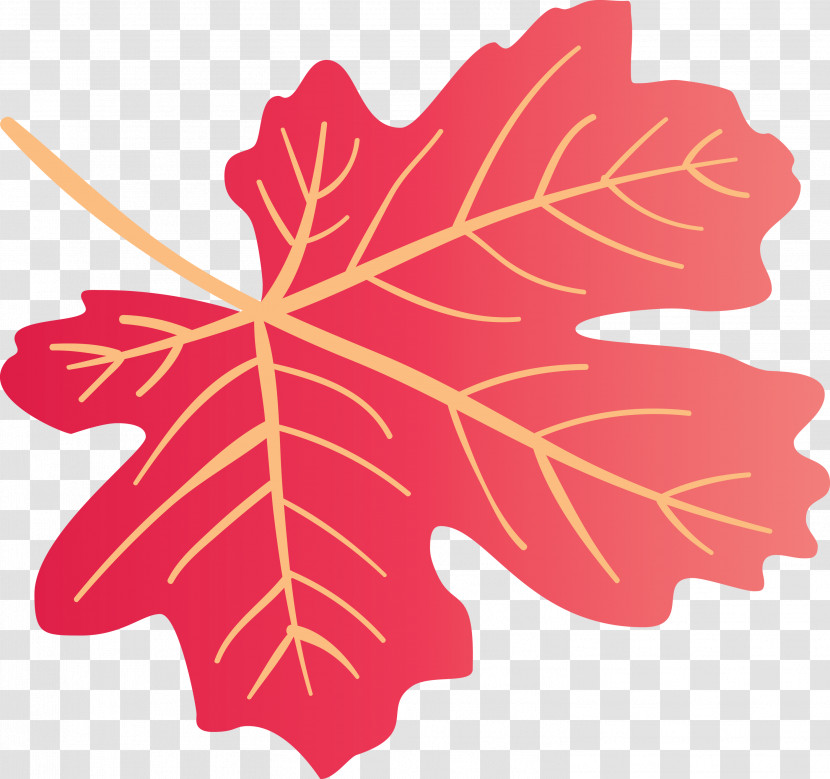 Autumn Leaf Colourful Foliage Colorful Leaves Transparent PNG