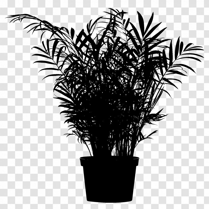 Chamaedorea Elegans Plants Palm Trees Houseplant Design - Tree - Wood Transparent PNG