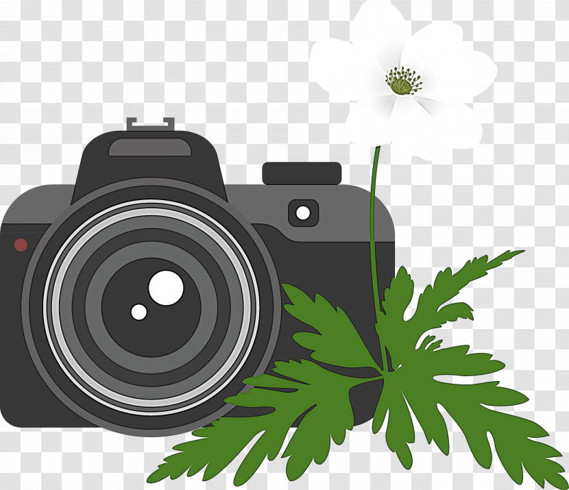 Camera Flower Transparent PNG