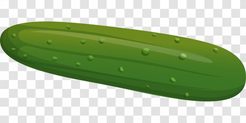 Cucumber Green Vegetable Pepino - Plastic Transparent PNG
