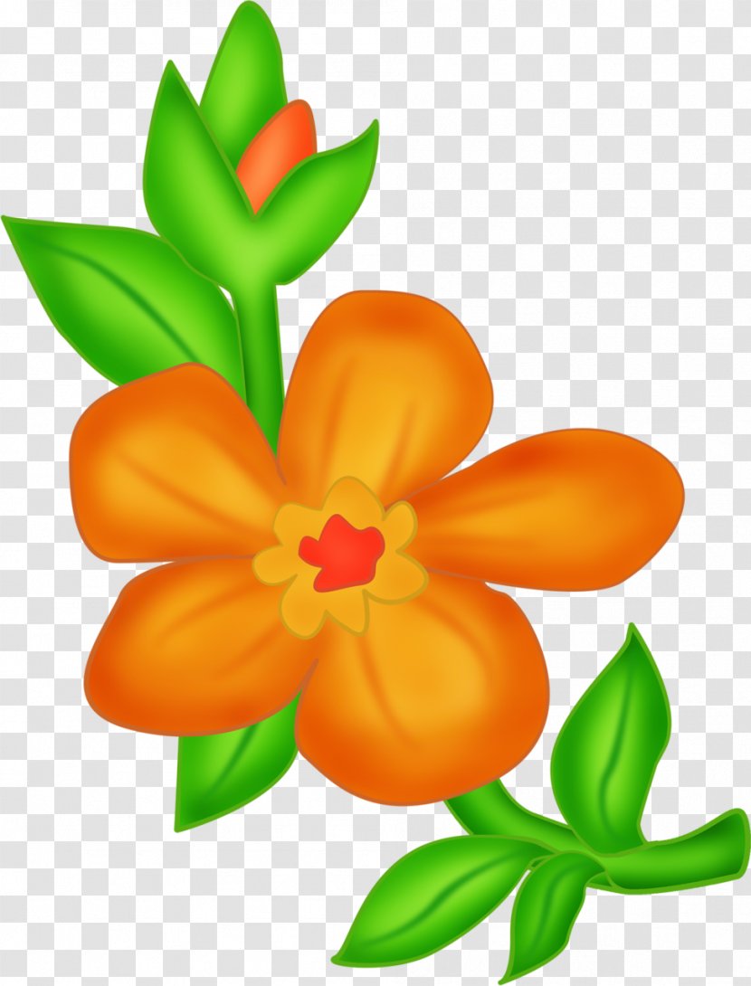 Cut Flowers Floral Design Floristry Petal - Plant - Drawing Flower Transparent PNG