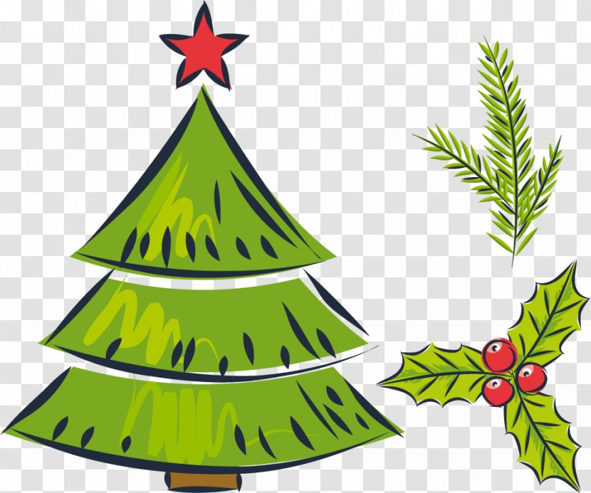 Christmas Tree Drawing Gift - Vector Green Transparent PNG
