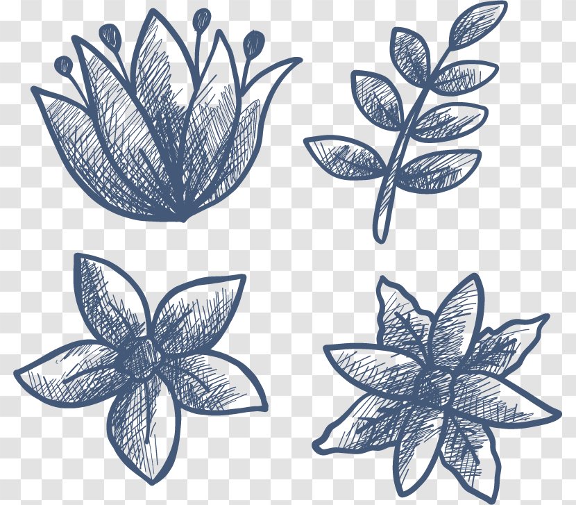 Drawing Leaf Flower Petal - Sketch Winter Flowers Transparent PNG