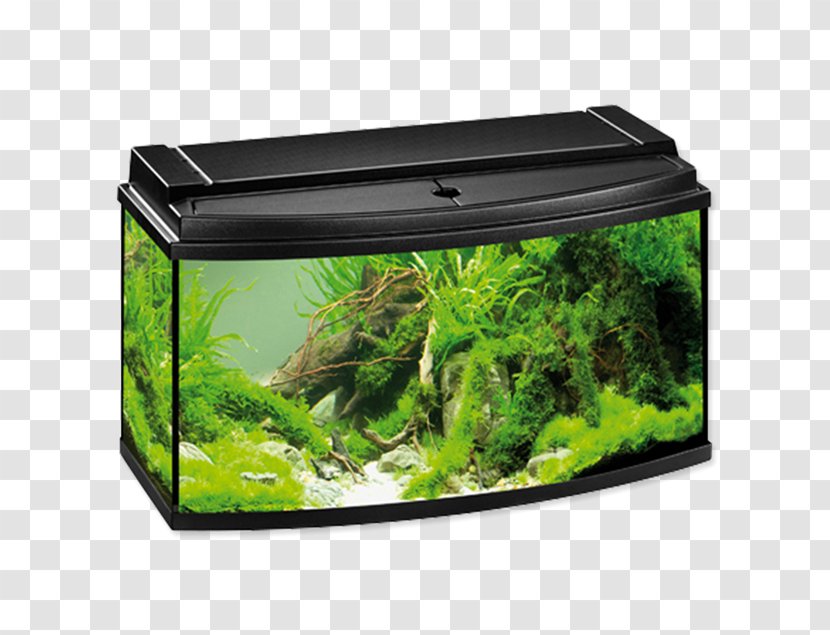 Aquarium Filters Eheim Fishkeeping - Air Pump - Fish Transparent PNG