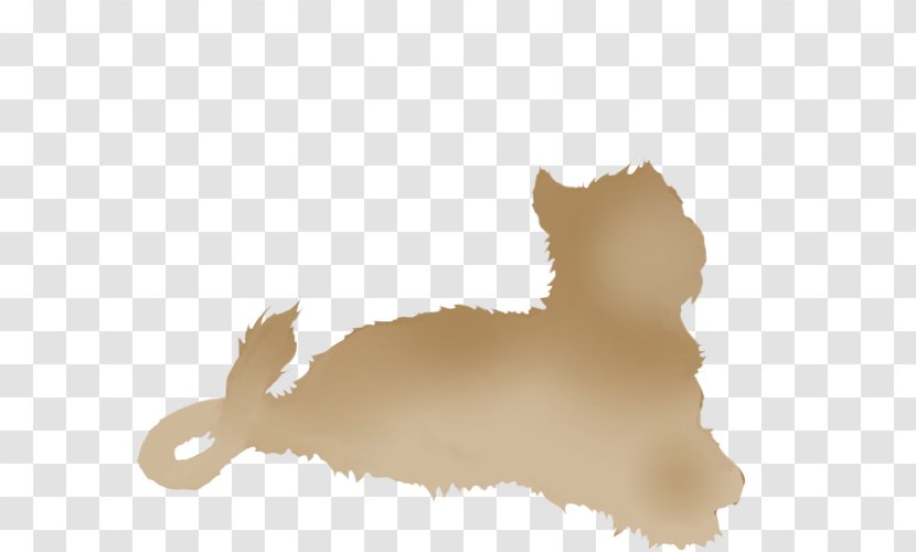 Cat Lion Dog Desktop Wallpaper Snout - Mammal Transparent PNG
