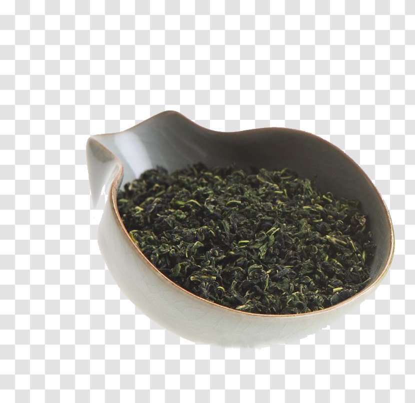 Nilgiri Tea Gyokuro Gunpowder Chun Mee - Romeritos - The Formation Of Herbs Transparent PNG