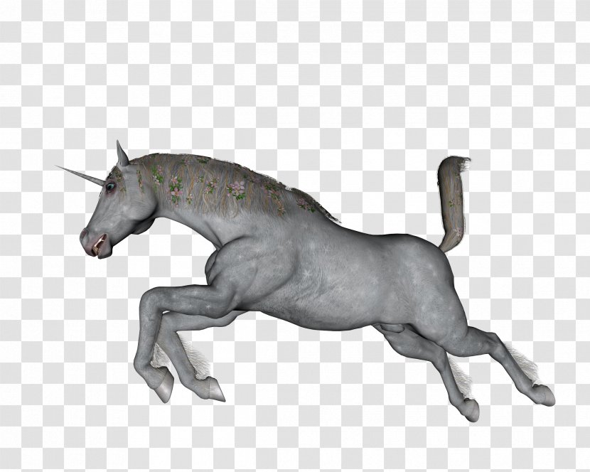 Unicorn Stallion Mustang Pony - Horse - Horn Transparent PNG