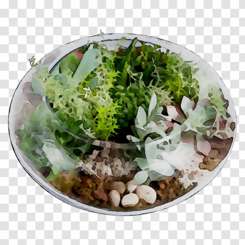 Herb - Leaf - Dishware Transparent PNG