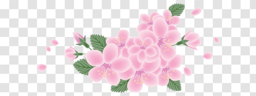 Floral Design Flower Petal IFolder Cerasus - Depositfiles Transparent PNG