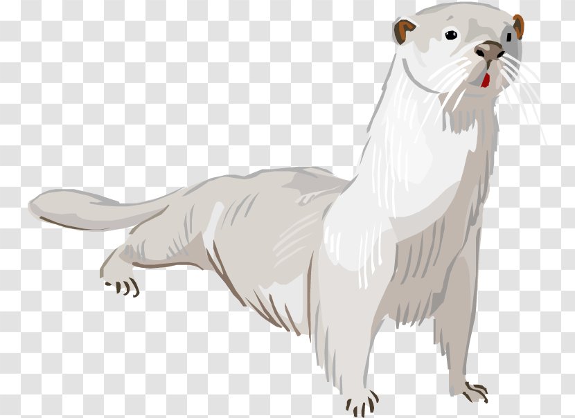 Otter Cat - Fur - White Cliparts Transparent PNG