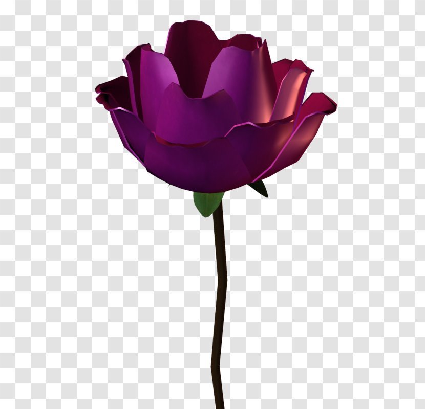 Garden Roses Pink Petal - Megabyte - Rose Transparent PNG
