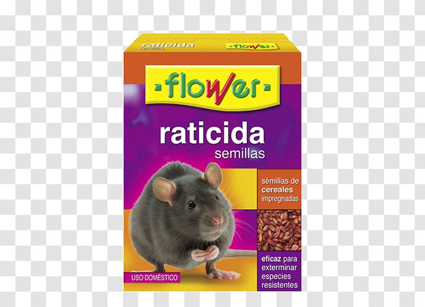 Rodenticide Rat Bait Seed Pesticide Transparent PNG