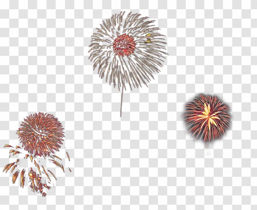 Adobe Fireworks Transparent PNG