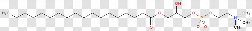 Line Brand Angle - Diagram Transparent PNG