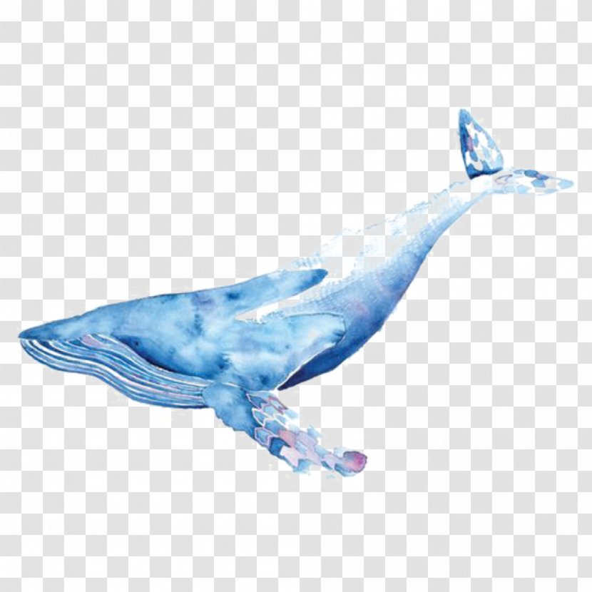 Transparent Watercolor Painting Drawing Whales Blue Whale - Marine Mammal Transparent PNG