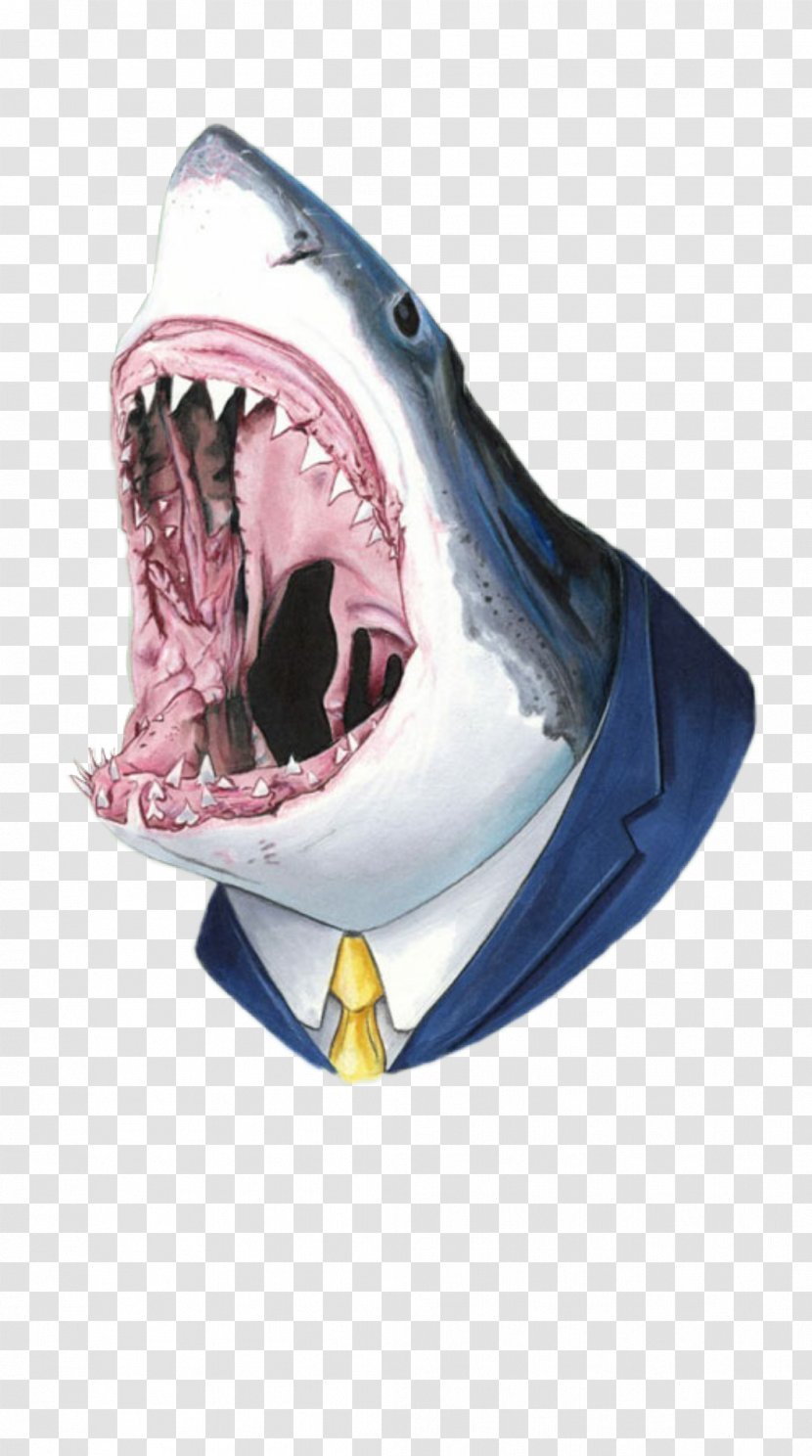 Shark Attack Great White Tooth Drawing - Tree Transparent PNG