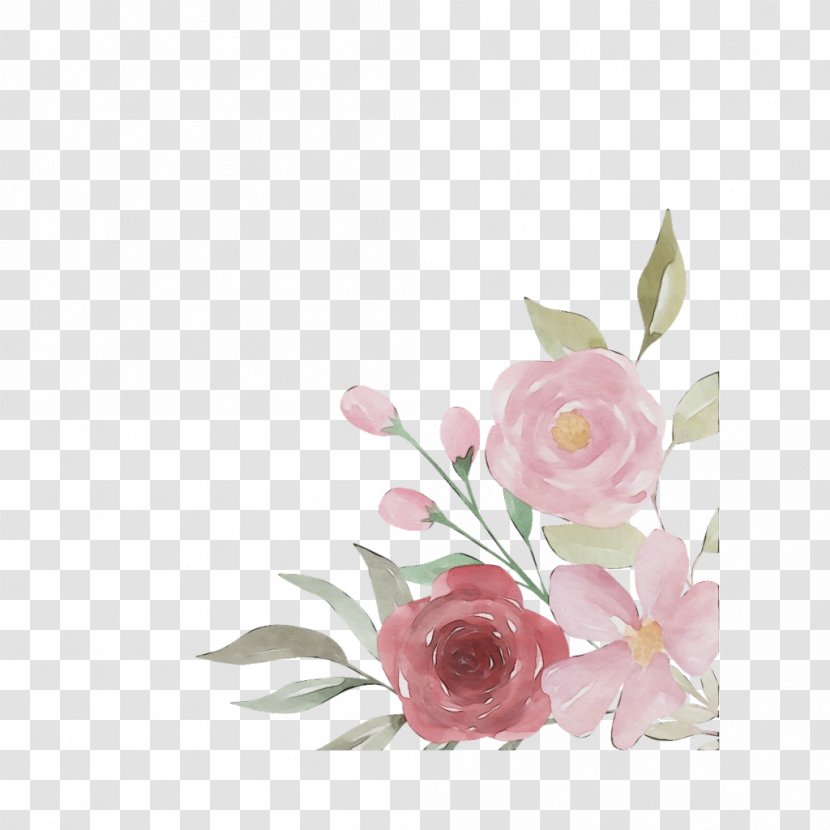 Watercolor Pink Flowers - Flowering Plant - Bud Magnolia Transparent PNG
