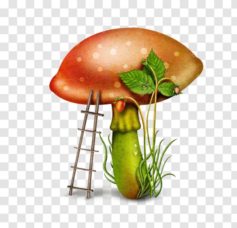 Mushroom Download Clip Art - Diet Food Transparent PNG