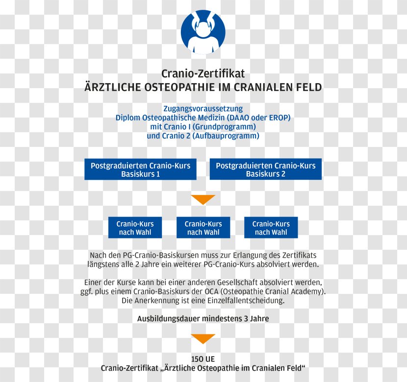 Web Page Information Curriculum Vitae Organization Résumé - Area - Cranio Transparent PNG