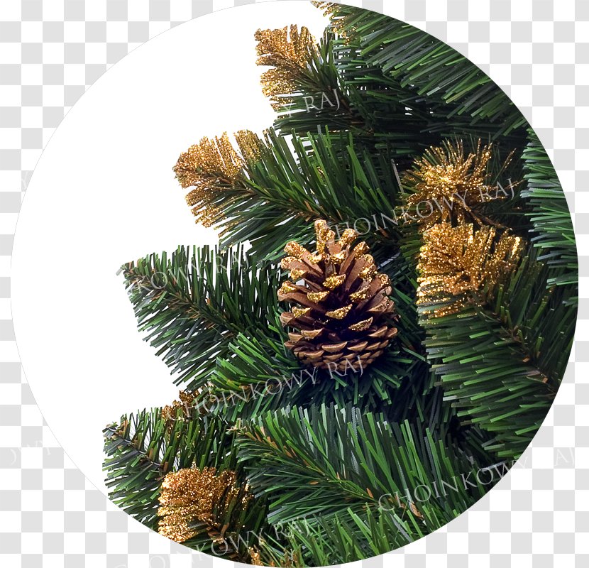 Fir Spruce Christmas Ornament Pine Transparent PNG