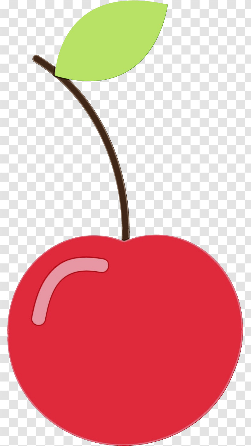 Plants Meter Fruit Biology Science Transparent PNG