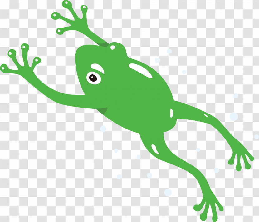 Tree Frog Leaf Plant Stem Cartoon Toad Transparent PNG