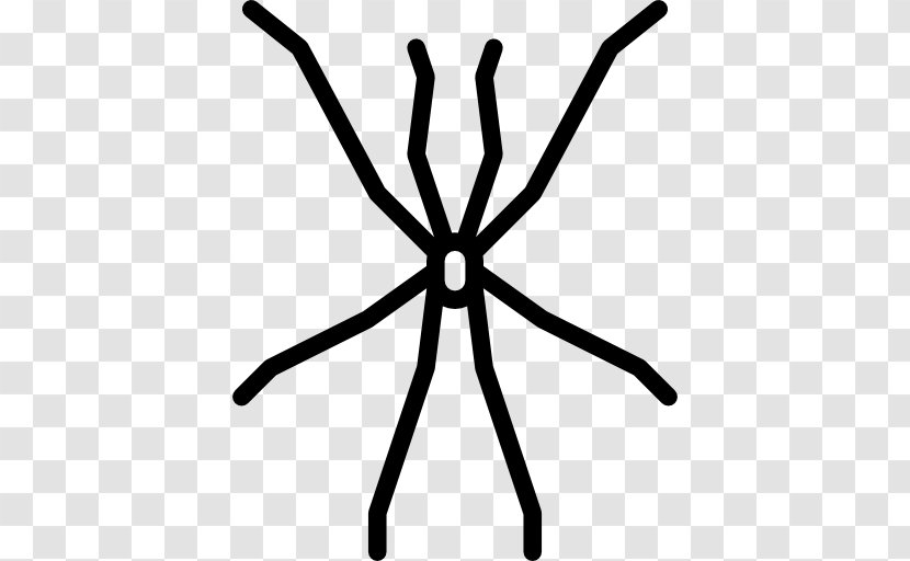 Insect Entomology Arachnid Clip Art - Symmetry Transparent PNG