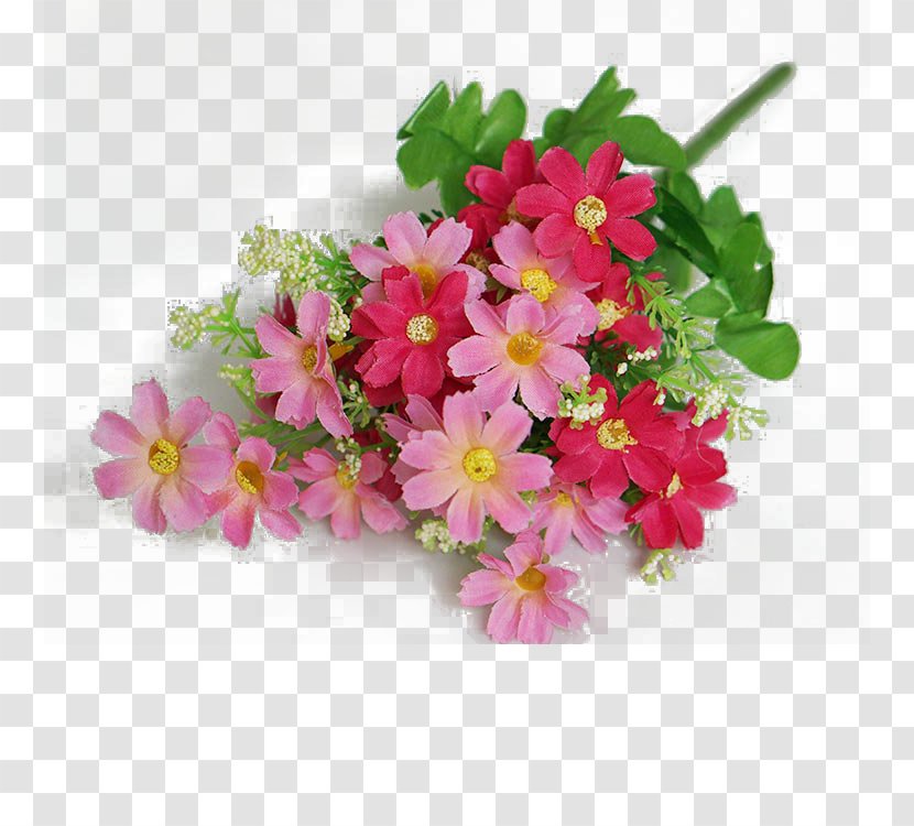 Flower Bouquet Nosegay - Annual Plant - Little Daisy Transparent PNG